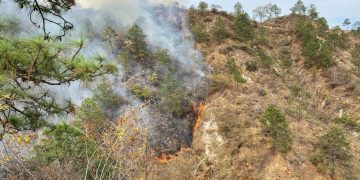 Incendio forestal en Quiché en abril 2025. / Foto: Conred.