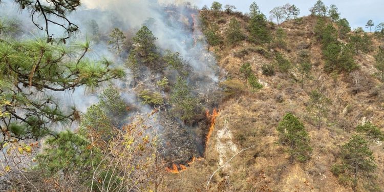 Incendio forestal en Quiché en abril 2025. / Foto: Conred.