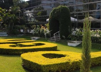 De haberse condenado al Estado de Guatemala a pagar la suma exigida, la nación habría enfrentado un grave impacto económico. / Foto: PGN.