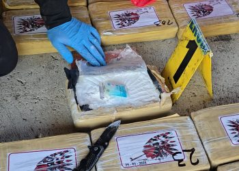 Se reportó la incautación de 867 paquetes de cocaína en el municipio de Iztapa, Escuintla. / Foto: PNC.