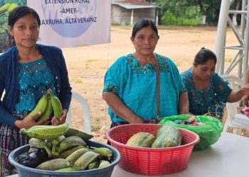 Raxruhá impulsa la economía local con Feria del Agricultor. Foto: MAGA