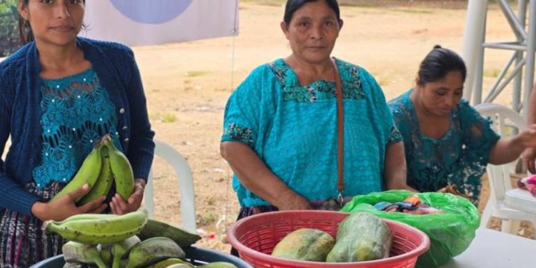 Raxruhá impulsa la economía local con Feria del Agricultor. Foto: MAGA
