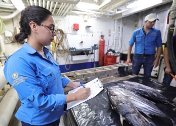 Exportaciones de pescado, atún y camarón superan los 866 millones de quetzales y fortalecen la competitividad de Guatemala
