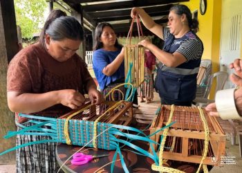 SOSEP impulsó la economía de más de 26 mil mujeres con el programa de Mejoramiento de la Condiciones Socioeconómicas de la Mujer. / Foto: SOSEP.