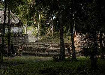 Reunión estratégica fortalece acciones para la conservación de la Gran Selva Maya. (Foto: UICN)