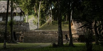 Reunión estratégica fortalece acciones para la conservación de la Gran Selva Maya. (Foto: UICN)