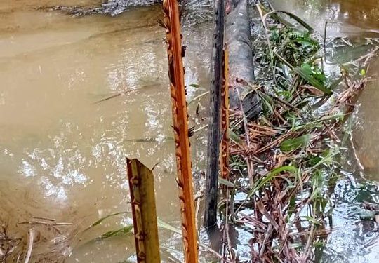 Denuncian derrame de petróleo en río San Román. / Foto: comunidades afectadas.