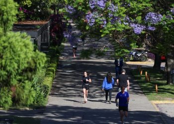 Aumentar la actividad física y reducir el sedentarismo aumentan las expectativas de vida, según estudios. /Foto: EFE