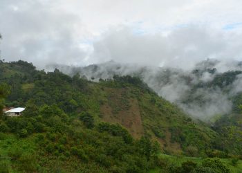 MAGA recomienda a agricultores tomar precauciones por posibles heladas./Foto: MAGA.