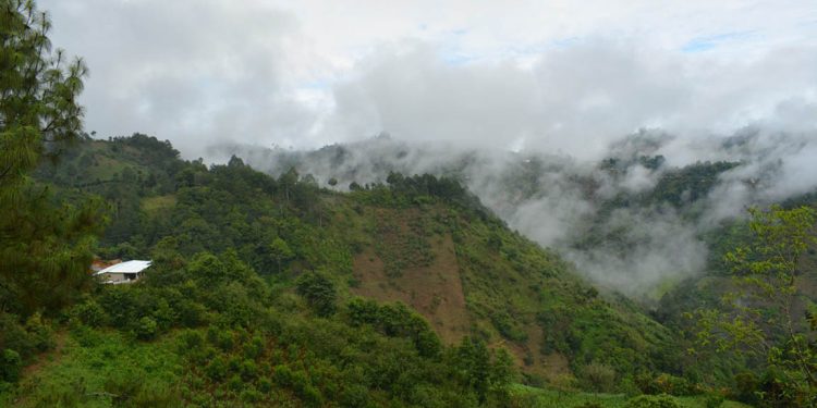 MAGA recomienda a agricultores tomar precauciones por posibles heladas./Foto: MAGA.