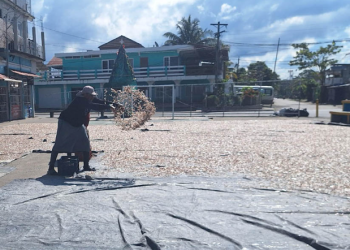 El monitoreo biológico se enmarca dentro de las acciones que promueve el Viceministerio de Sanidad Agropecuaria y Regulaciones. / Foto: MAGA.