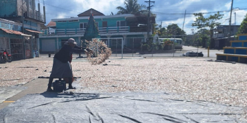 El monitoreo biológico se enmarca dentro de las acciones que promueve el Viceministerio de Sanidad Agropecuaria y Regulaciones. / Foto: MAGA.