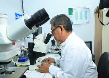 El trabajo de los laboratorios también desempeña un papel fundamental en el soporte a las importaciones y exportaciones agrícolas. / Foto: MAGA.