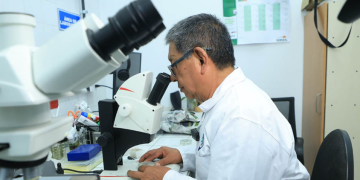 El trabajo de los laboratorios también desempeña un papel fundamental en el soporte a las importaciones y exportaciones agrícolas. / Foto: MAGA.