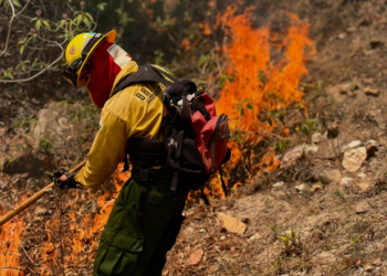 Conred lanza campaña Alto al Fuego./Foto: Conred.