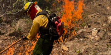 Conred lanza campaña Alto al Fuego./Foto: Conred.