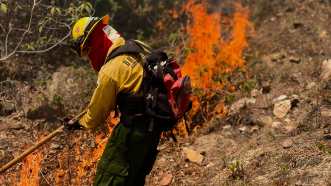 Conred lanza campaña Alto al Fuego./Foto: Conred.