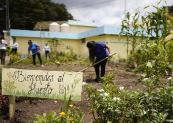La certificación ACA es otorgada únicamente a centros que demuestran buenas prácticas en administración penitenciaria, programas de reinserción social. / Foto: Mingob