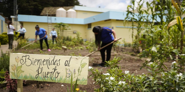 La certificación ACA es otorgada únicamente a centros que demuestran buenas prácticas en administración penitenciaria, programas de reinserción social. / Foto: Mingob