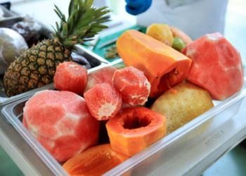 Frutas y verduras son buenas opciones para hacer loncheras nutritivas. / Foto: MAGA.