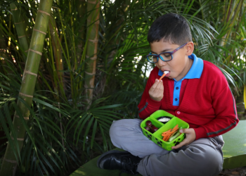 IGSS promueve loncheras económicas y saludables para el regreso a clases. (Foto: IGSS)