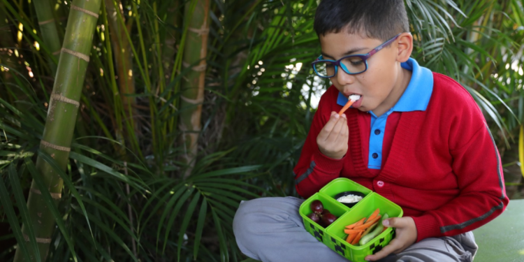 IGSS promueve loncheras económicas y saludables para el regreso a clases. (Foto: IGSS)