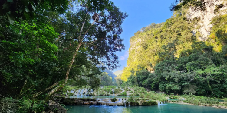 En este segundo año de gobierno se incrementaron en 85 % el número de áreas protegidas con presencia permanente de personal. (Foto: Conap)