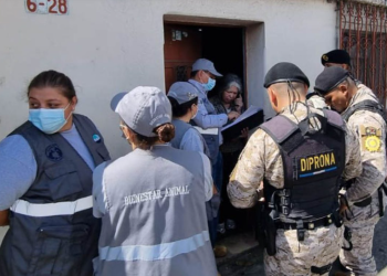 El MAGA explicó que el monto final de las sanciones depende del salario mínimo vigente y la circunscripción económica. / Foto: MAGA