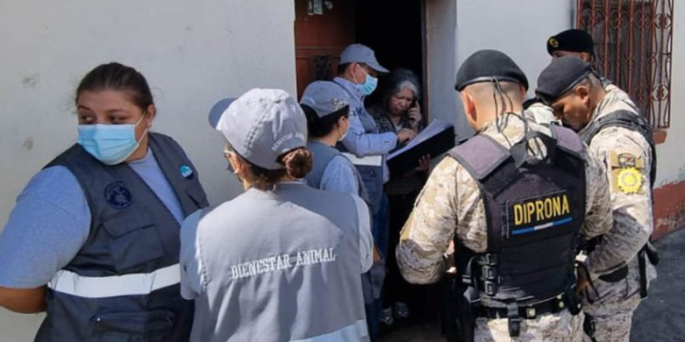 El MAGA explicó que el monto final de las sanciones depende del salario mínimo vigente y la circunscripción económica. / Foto: MAGA