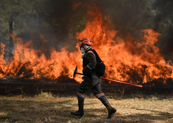 Temporada de incendios afecta hasta el momento 167 hectáreas. / Foto: Byron de la Cruz.