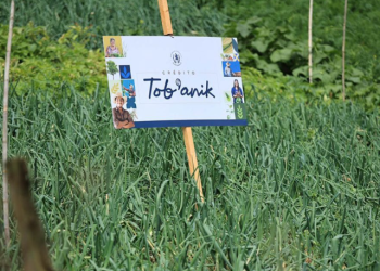 El programa opera a través de cooperativas de ahorro y crédito autorizadas, lo que permite que el financiamiento llegue de manera cercana, confiable y accesible a los territorios. / Foto: MAGA