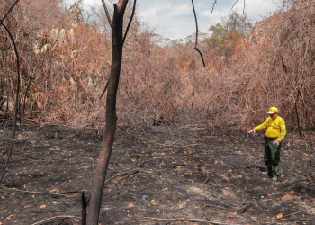 ! Conap lanza campaña nacional para prevenir incendios forestales en áreas protegidas. (Foto: Conap)