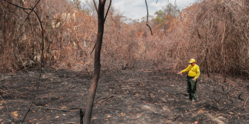 ! Conap lanza campaña nacional para prevenir incendios forestales en áreas protegidas. (Foto: Conap)