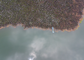 Incendios forestales disminuyeron más del 50 % durante 2025 tras el fortalecimiento institucional. (Foto: Conap)