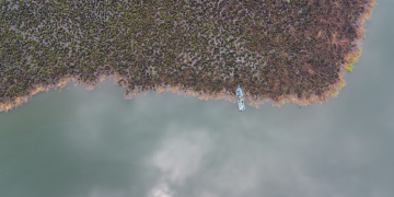 Incendios forestales disminuyeron más del 50 % durante 2025 tras el fortalecimiento institucional. (Foto: Conap)