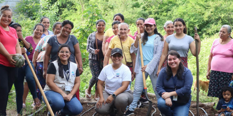 Uno de los principales aportes de la agricultura familiar es la diversificación de cultivos, combinada con la preservación de alimentos tradicionales. / Foto: MAGA.
