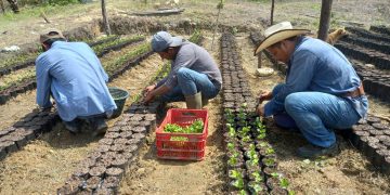 ENCA mantiene el compromiso con la formación y agricultura sostenible. (Foto: MAGA)
