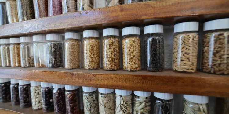 Guatemala resguarda semillas en la Bóveda Global de Svalbard en Noruega. (Foto: MAGA)