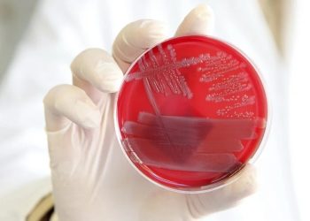 Equipo de científicos descubrió como ayudar al cuerpo a desactivar la inflamación.