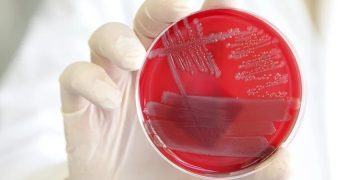 Equipo de científicos descubrió como ayudar al cuerpo a desactivar la inflamación.