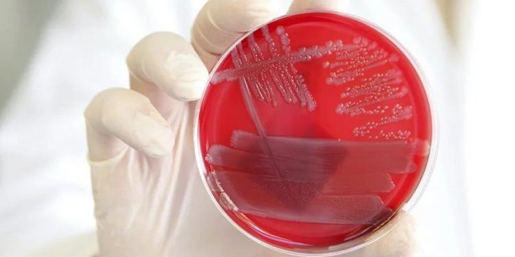 Equipo de científicos descubrió como ayudar al cuerpo a desactivar la inflamación.