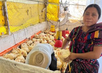 Inician postulaciones al Programa Alimentos por Acciones. (Foto: MAGA)