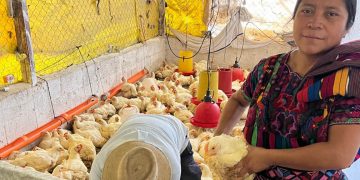 Inician postulaciones al Programa Alimentos por Acciones. (Foto: MAGA)