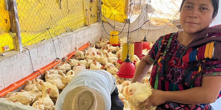 Inician postulaciones al Programa Alimentos por Acciones. (Foto: MAGA)