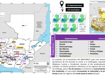 Como parte de este seguimiento, se monitorean actualmente 12 departamentos y 113 municipios, donde se ha identificado la persistencia de bajas temperaturas. / Foto: MAGA.