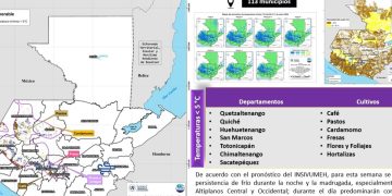 Como parte de este seguimiento, se monitorean actualmente 12 departamentos y 113 municipios, donde se ha identificado la persistencia de bajas temperaturas. / Foto: MAGA.
