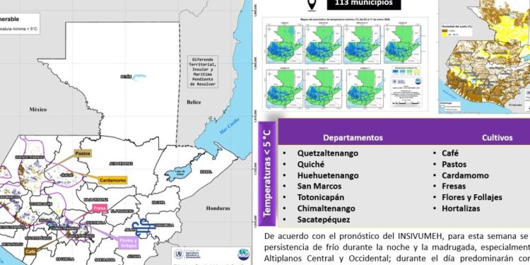 Como parte de este seguimiento, se monitorean actualmente 12 departamentos y 113 municipios, donde se ha identificado la persistencia de bajas temperaturas. / Foto: MAGA.