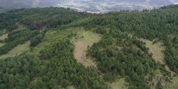Programa de Reducción de Emisiones impulsa la mitigación del cambio climático. (Foto: Inab)