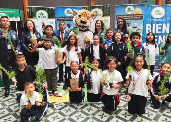 El programa Sembrando Huella permitió la plantación de más de 2 millones 900 mil árboles. (Foto: Inab)
