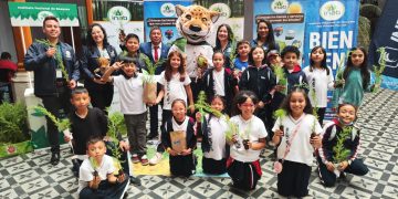 El programa Sembrando Huella permitió la plantación de más de 2 millones 900 mil árboles. (Foto: Inab)